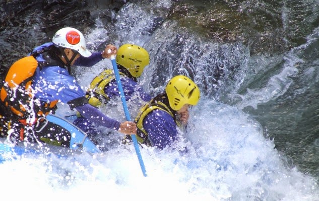 Risk Management System